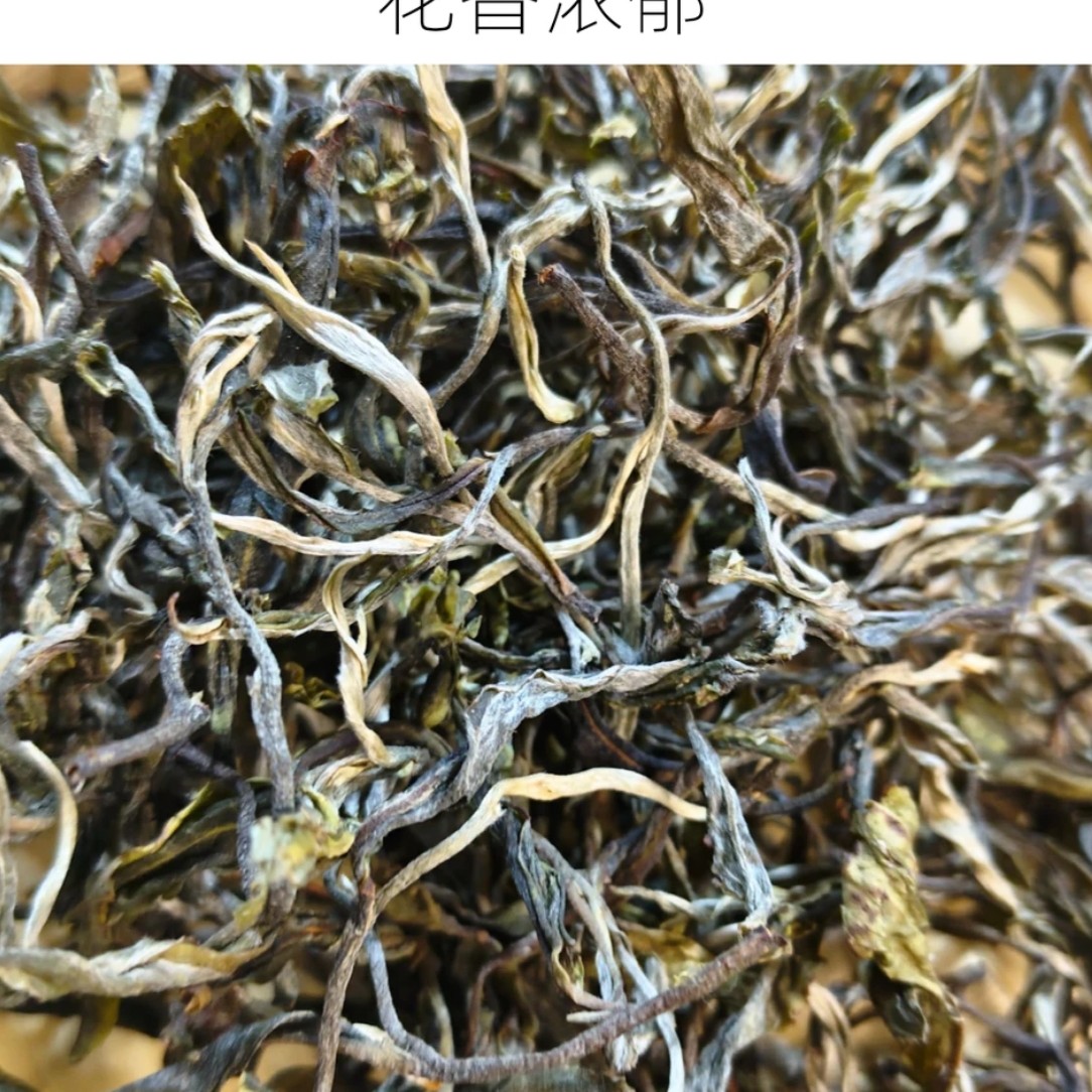 （山里古茶）2025春 古树单株 试喝装散茶100g