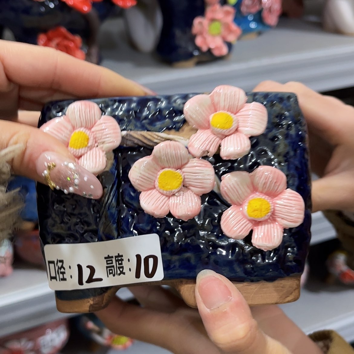 【闪购商品】红陶福利