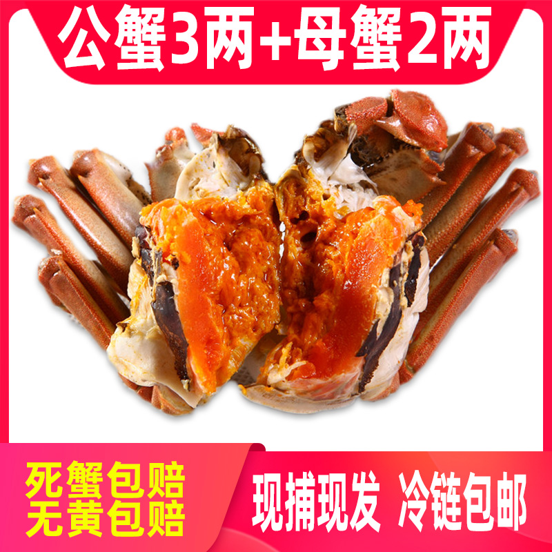 【活蟹】大螃蟹公3两母蟹2两5对10只鲜活河蟹现货顺丰包邮新鲜 礼盒