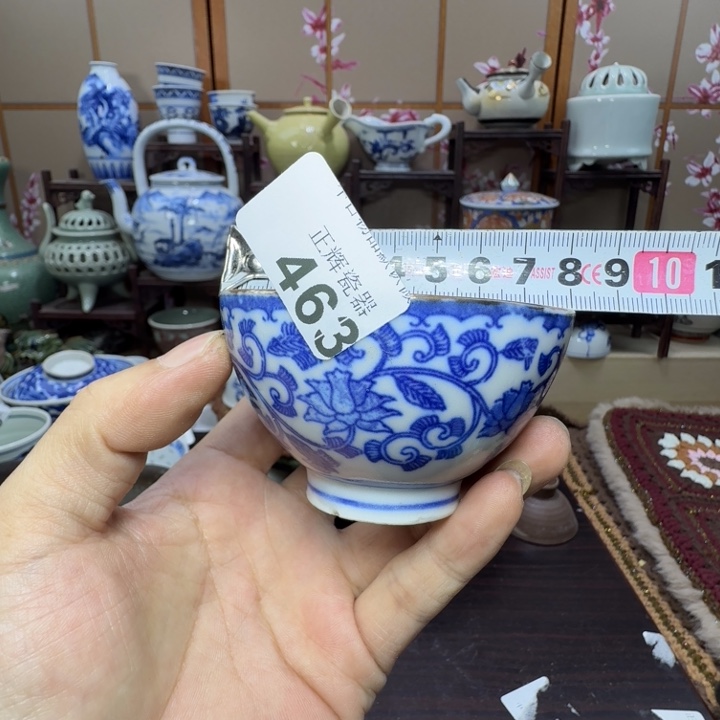 碟463啊啊啊啊啊啊啊啊啊啊啊啊