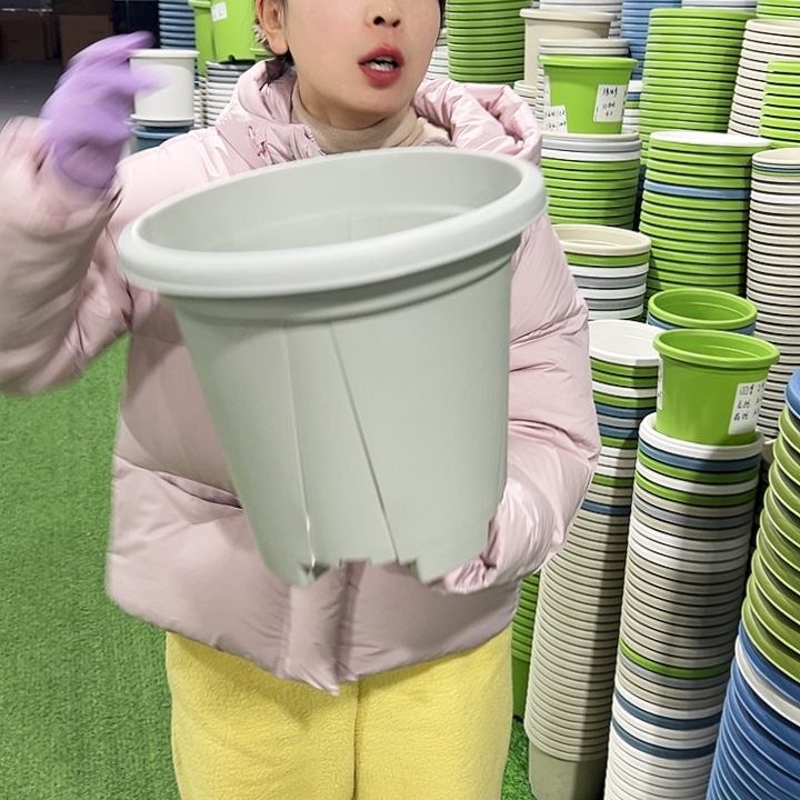 清仓青山口32高28灰白5只无托