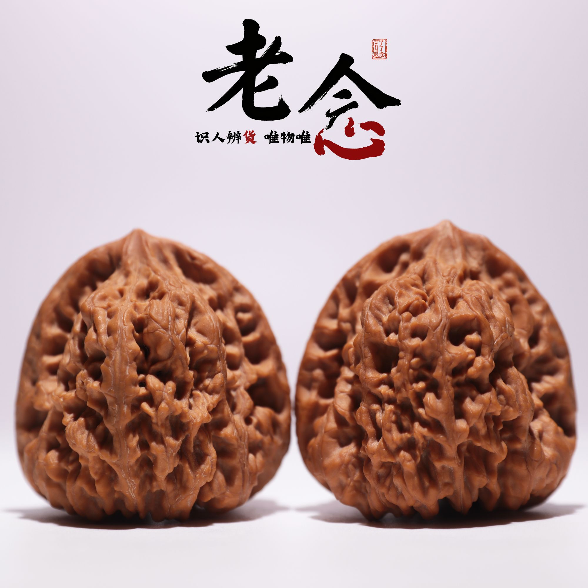 金蟾王 · 42-41-42 一物一图 文玩好物