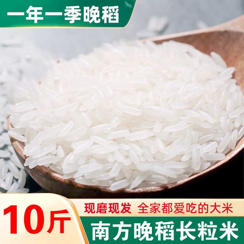 正宗优质长粒香大米5kg家庭装10斤一袋农家饭店包谷饭软糯米饭