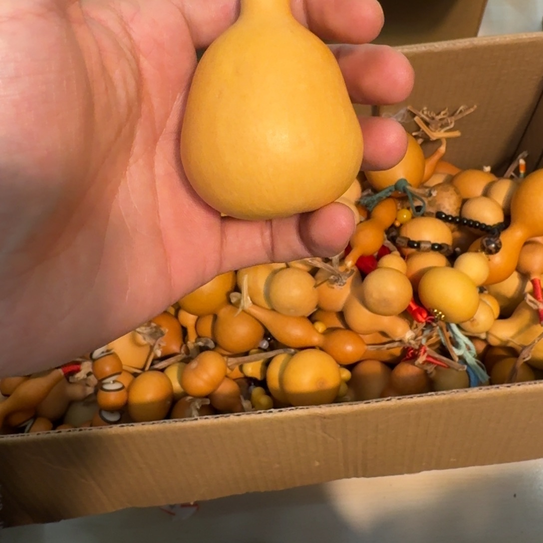 林***林葫芦111111111111111