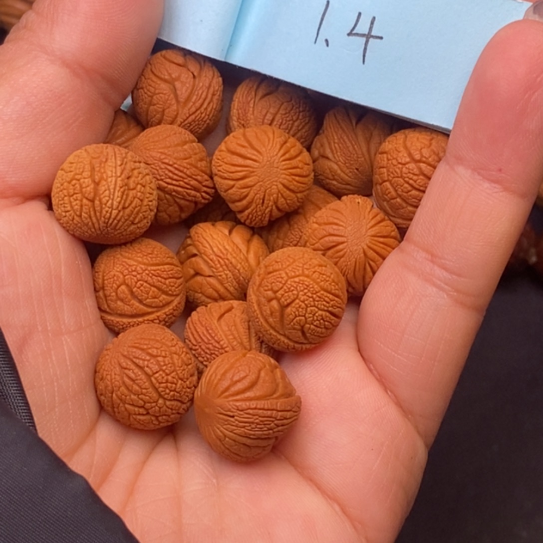 秦岭龙纹桃核17颗