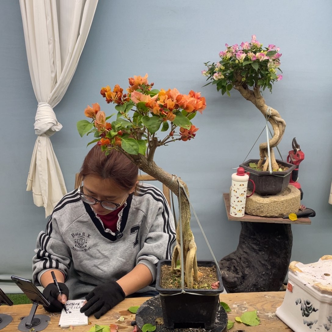 完全开放9912日落寄养