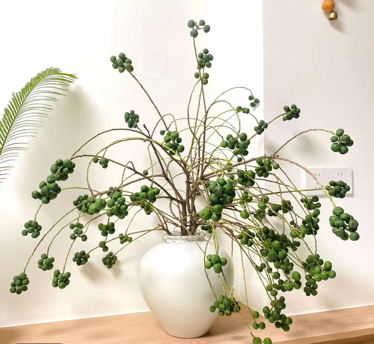乌桕果菩提果鲜切蝴蝶高级干花鲜花插花中式果材侘寂风