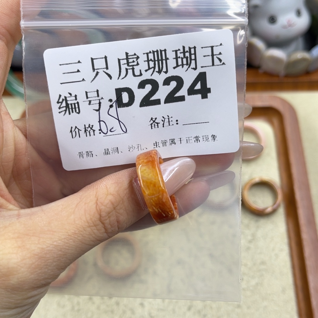 小***鱼硅化珊瑚（珊瑚玉）未镶嵌h