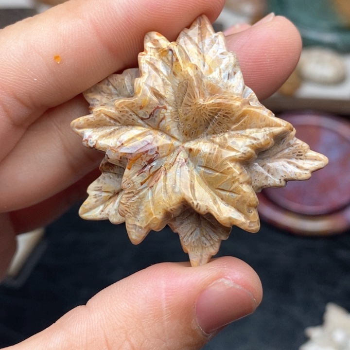 硅化珊瑚（珊瑚玉）手镯未镶嵌