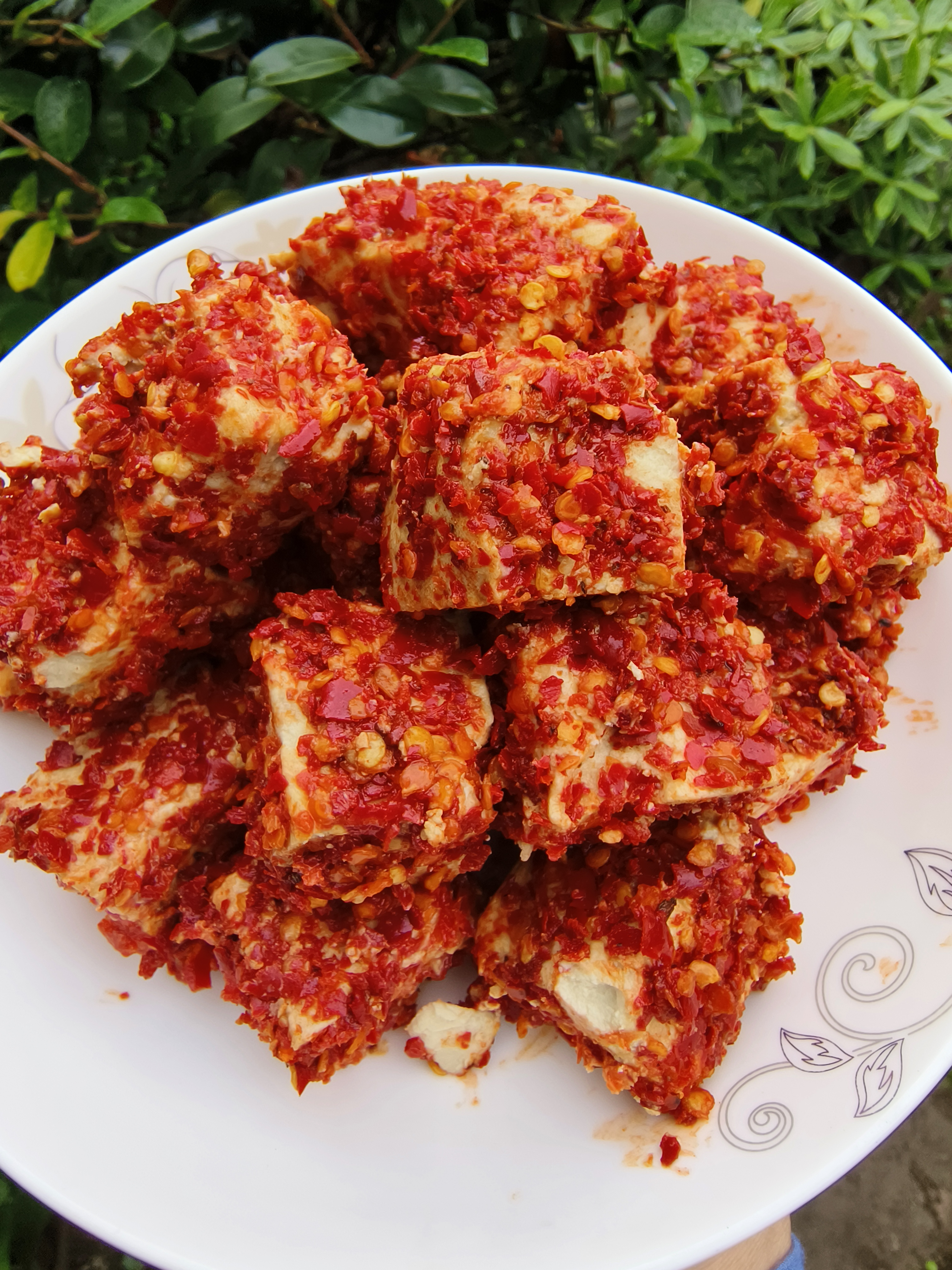 【霉豆腐】家里的坛子里面的