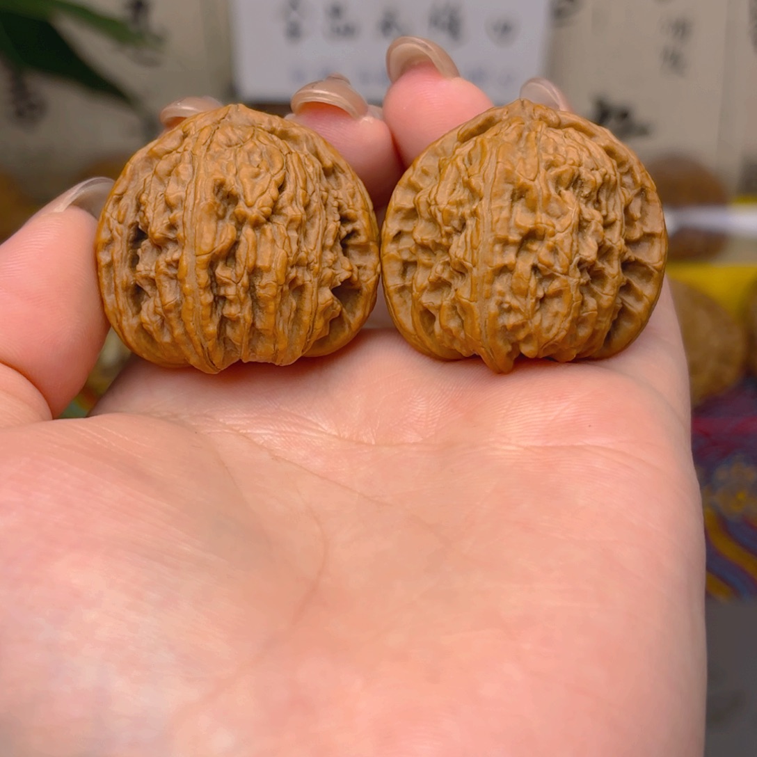 一***鲤白狮子头三十五尺