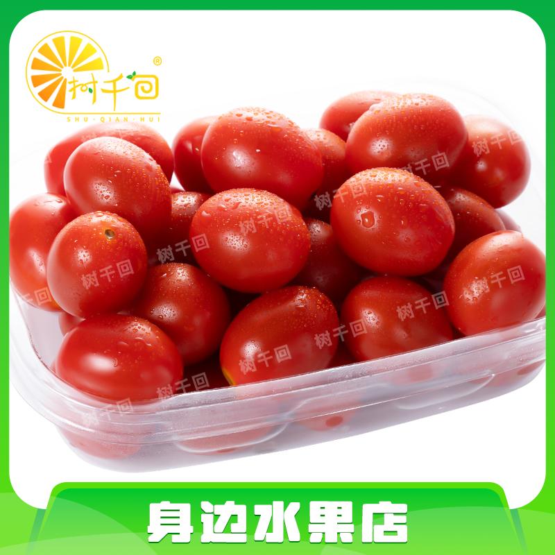 【盒装】玲珑千禧小番茄250g千禧圣女果海南省