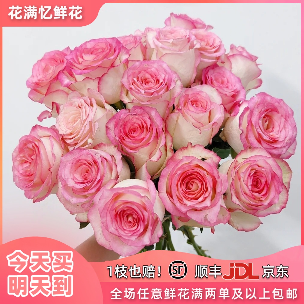 次日达-【艾莎玫瑰】10枝单头玫瑰鲜花批发直播任意两单升级顺丰包邮三单送随机花瓶一个