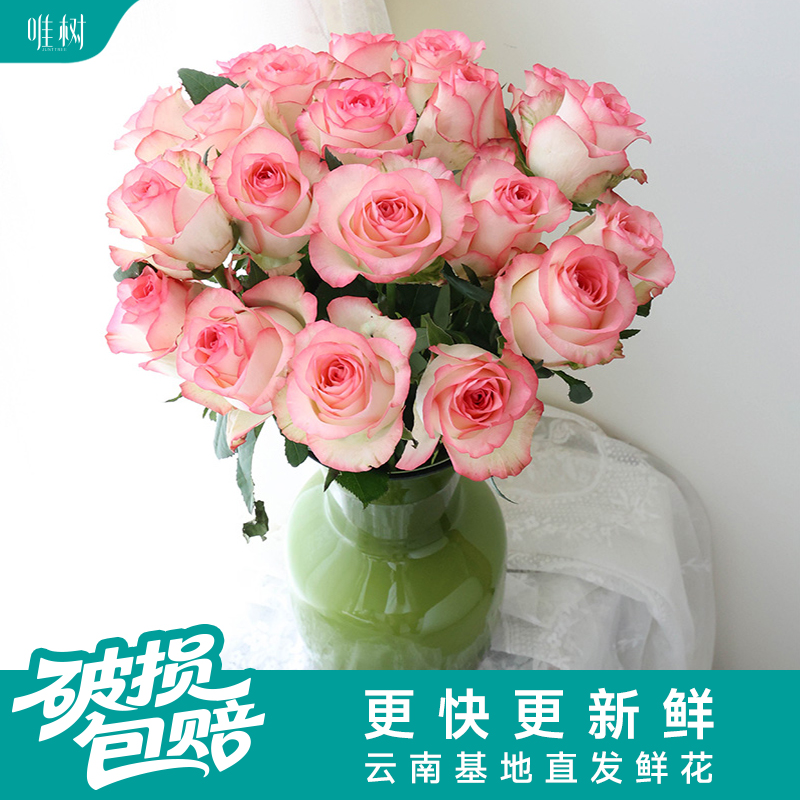 【包邮】唯树艾莎玫瑰丨10枝女神系家居玫瑰花鲜切花云南基地直发