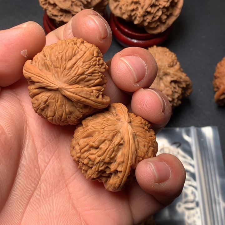 文玩核桃把件36白狮子1142