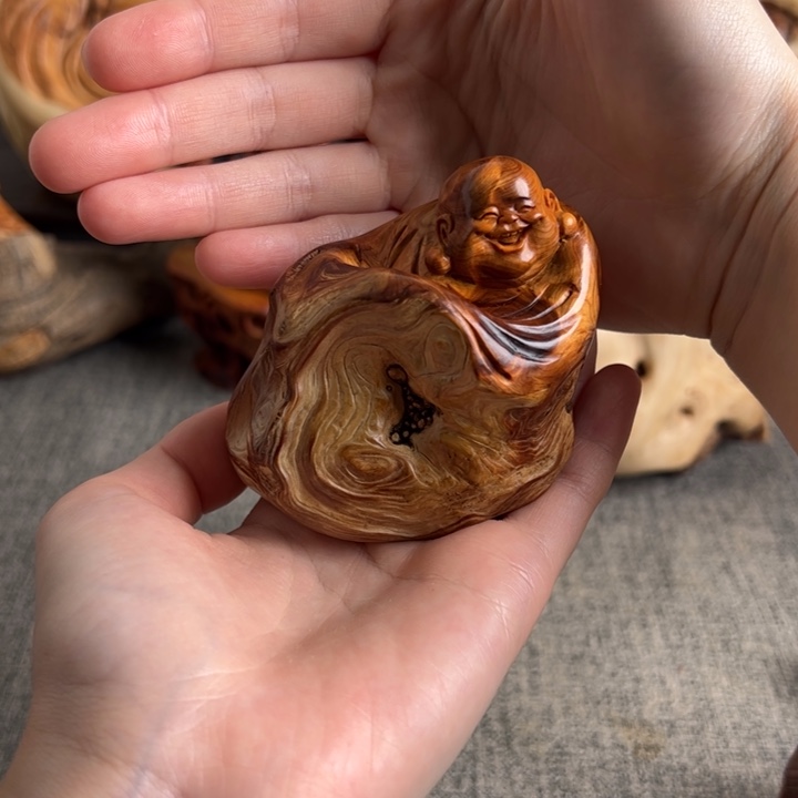 柏木（崖柏）关注一下