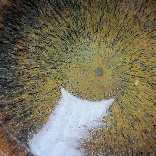 【闪购商品】茶盏-108............