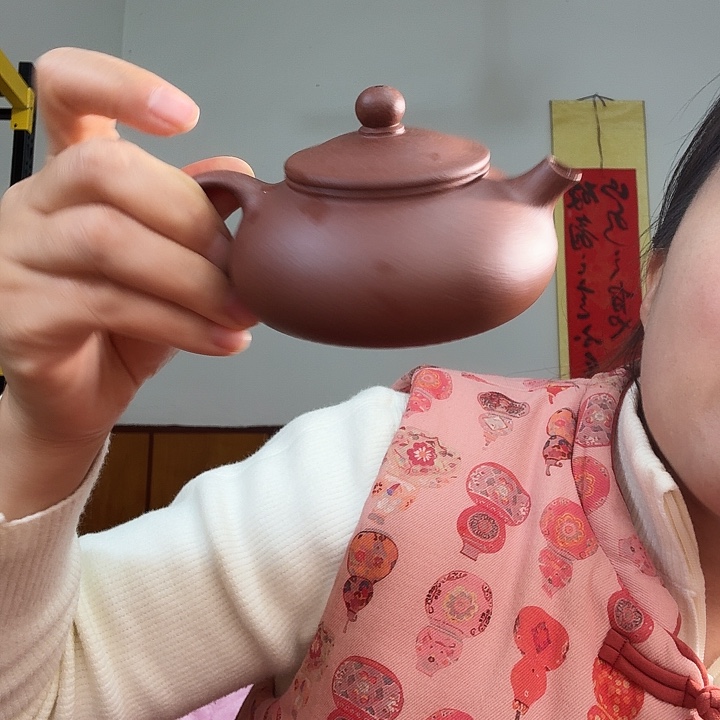 紫砂茶壶紫泥底槽青寒江150cc