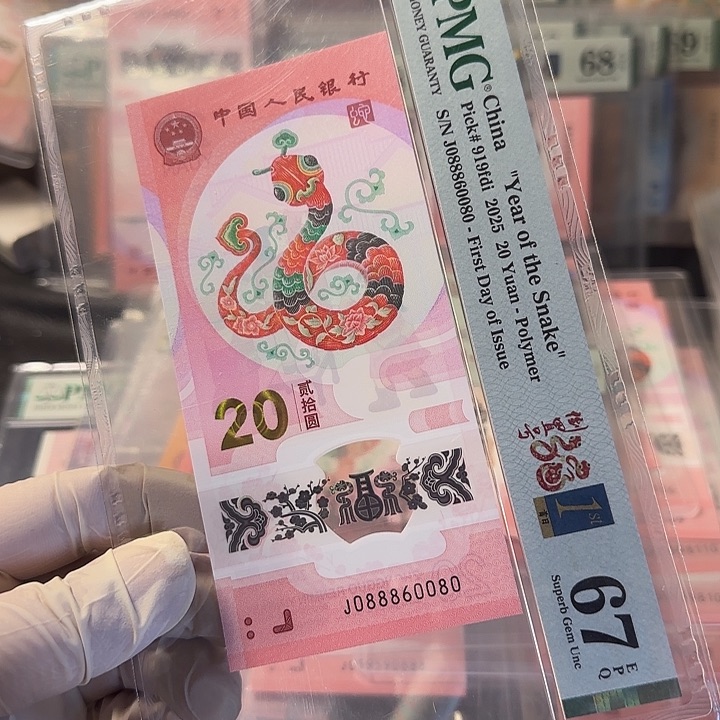 塑料088860080人三全偶圆圆豹子8头67分