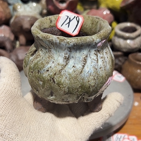 粗陶花盆制作就这样的支持