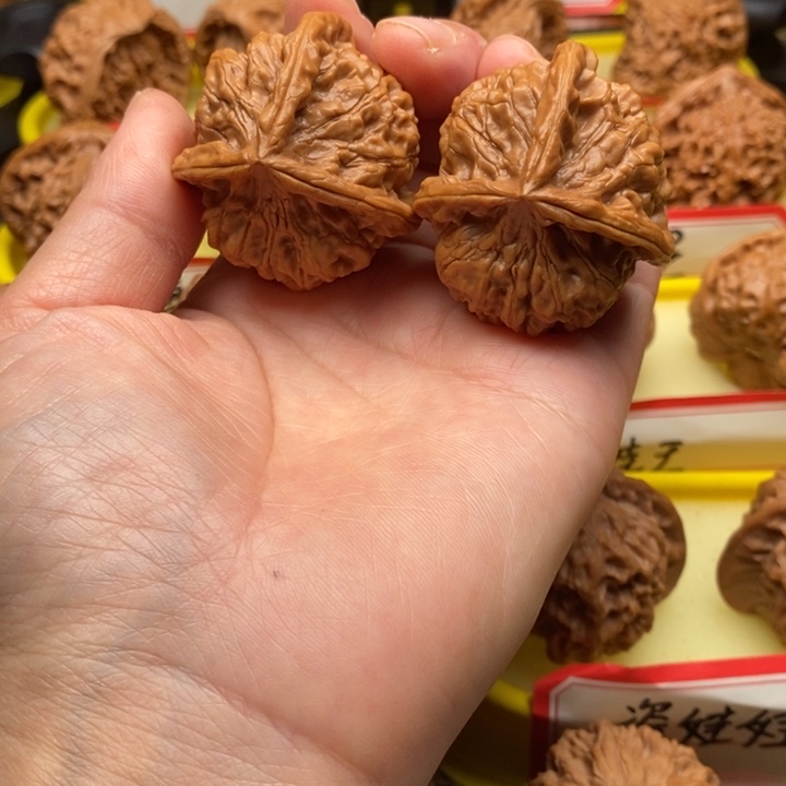 大叶紫檀（黑酸枝木类）三棱