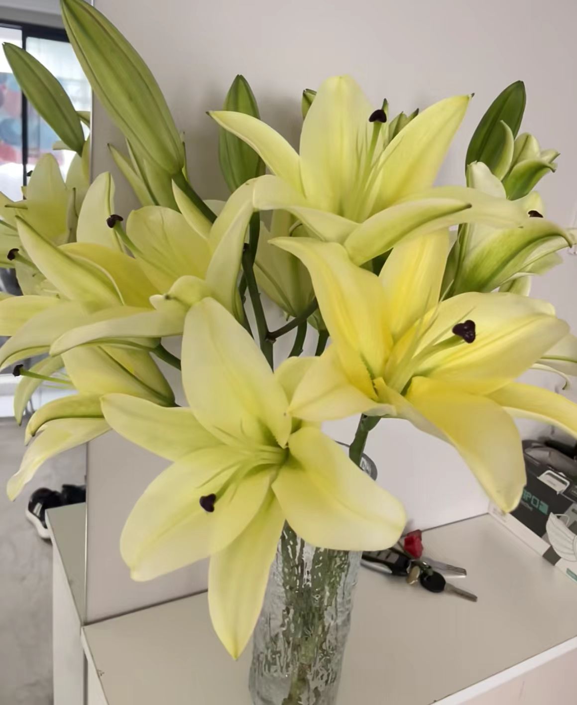 YZ【黄天霸香水百合】全场任意满两单鲜花升级快递