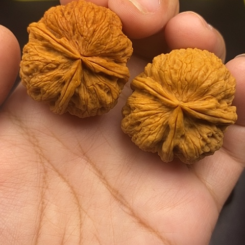 文玩核桃把件35尺云南核桃