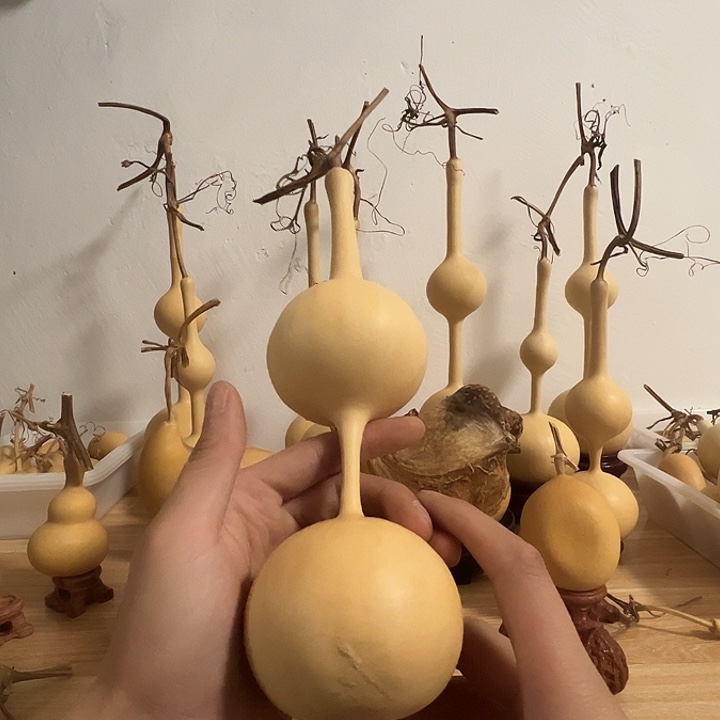 我***的三庭文玩葫芦摆件五五肚50