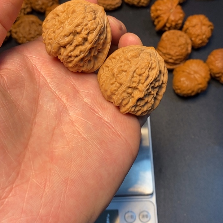 文玩核桃把件19号平谷凹底38尺