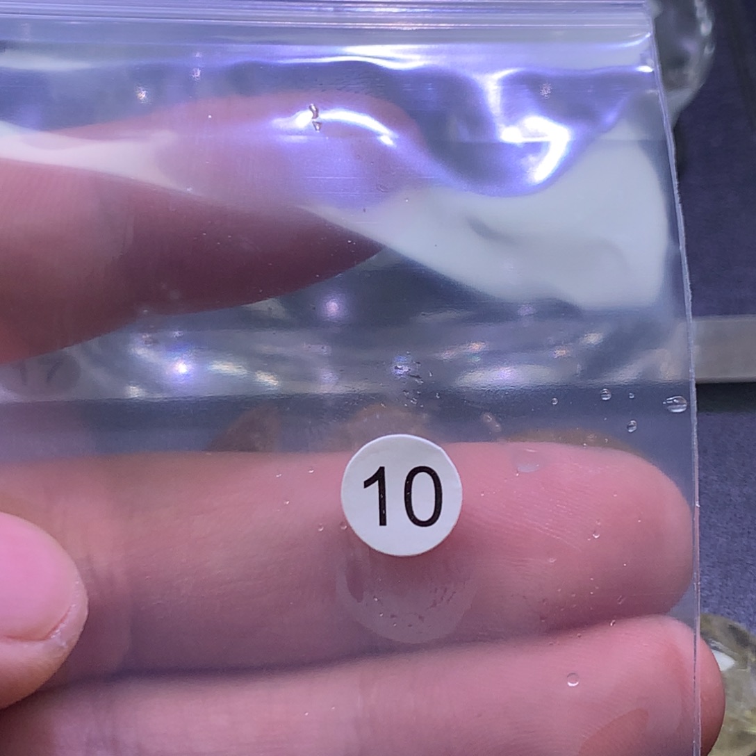 小***水颈饰水晶未镶嵌天然水晶石吊坠