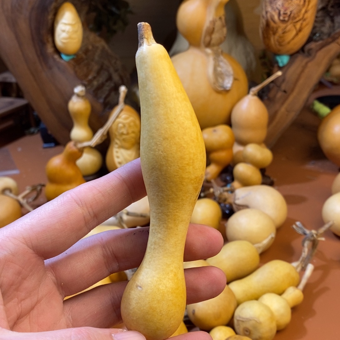 月***溪教练教练教练经理