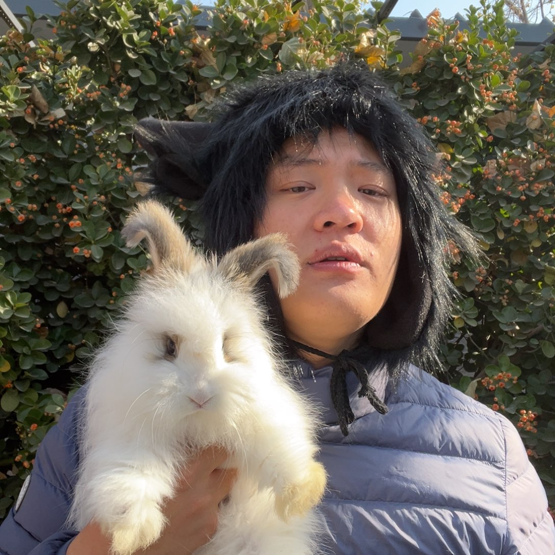 y***7宠物兔英系安哥拉兔