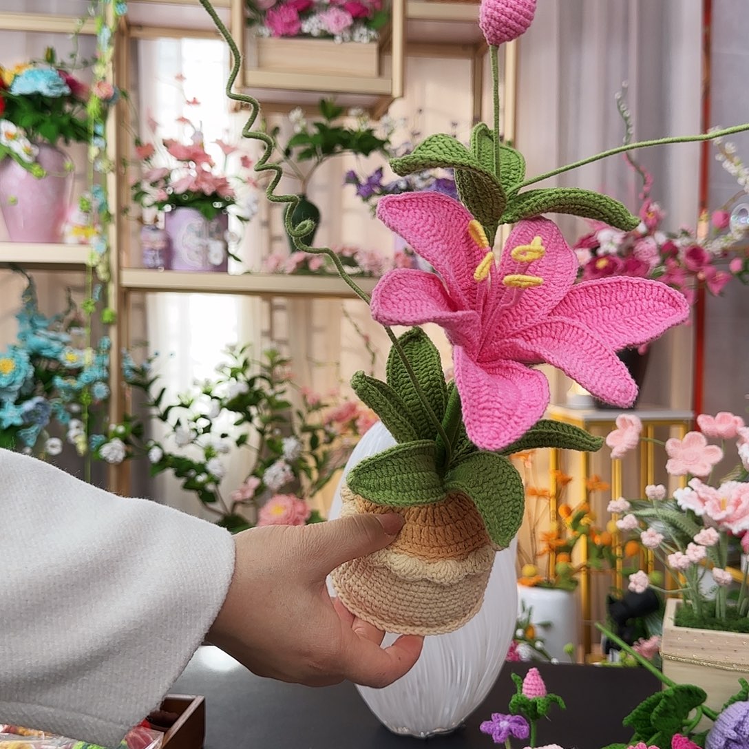 纯手工钩织钩织盆栽