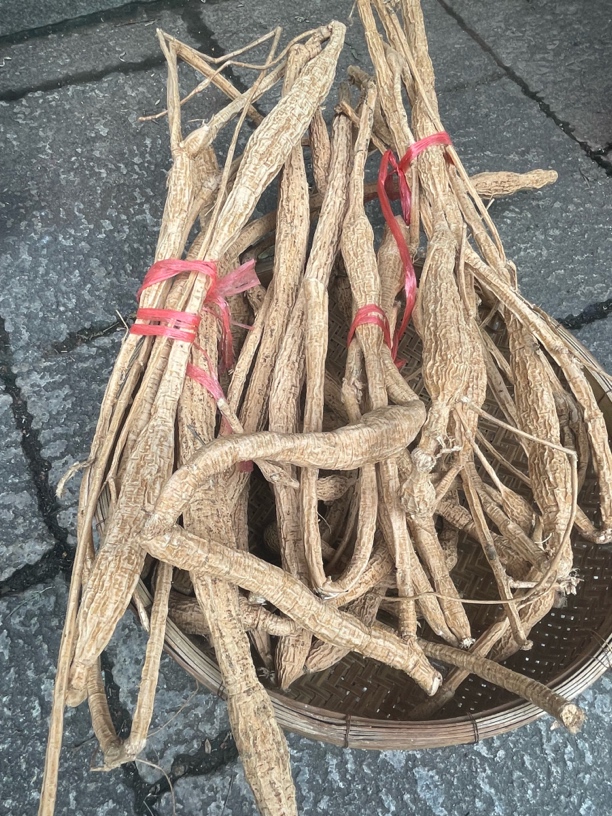 深山野山 牛大力 泡8+1