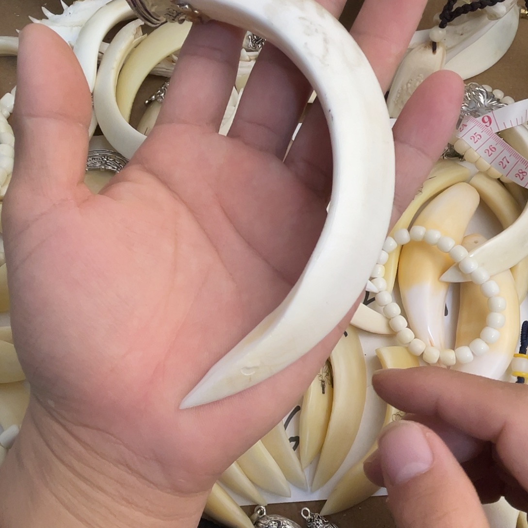 猪牙把件猪牙獠牙