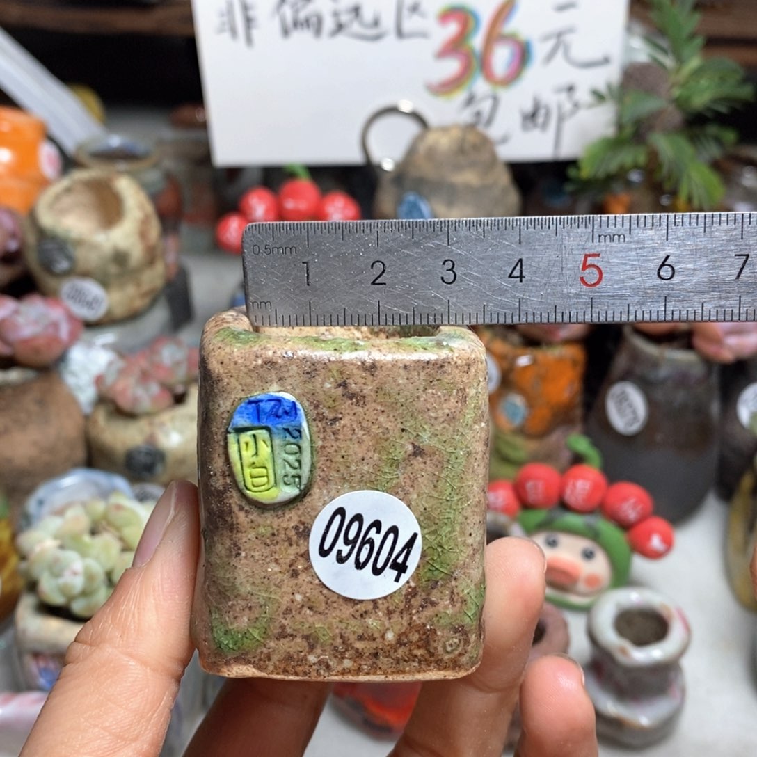 花盆拍3送一个小礼物