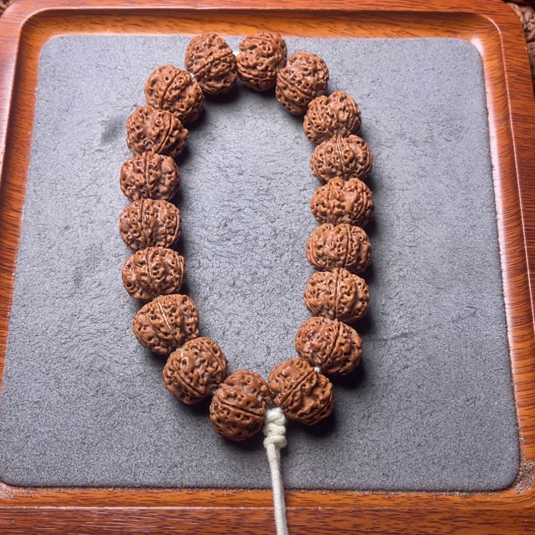 云***粑菩提20号金刚菩提原生态梅花19.5/20