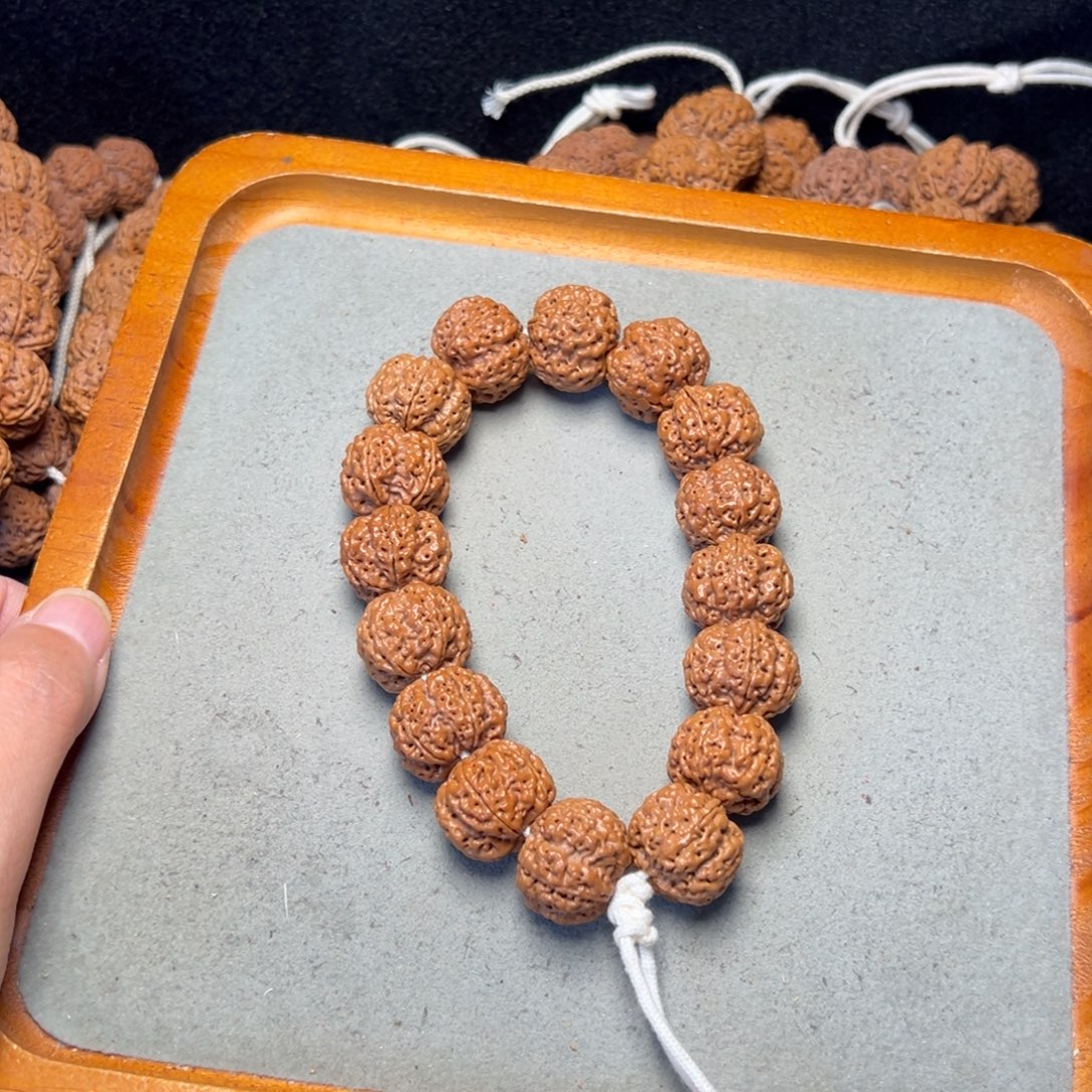 菩提32号金刚菩提梅花梁20