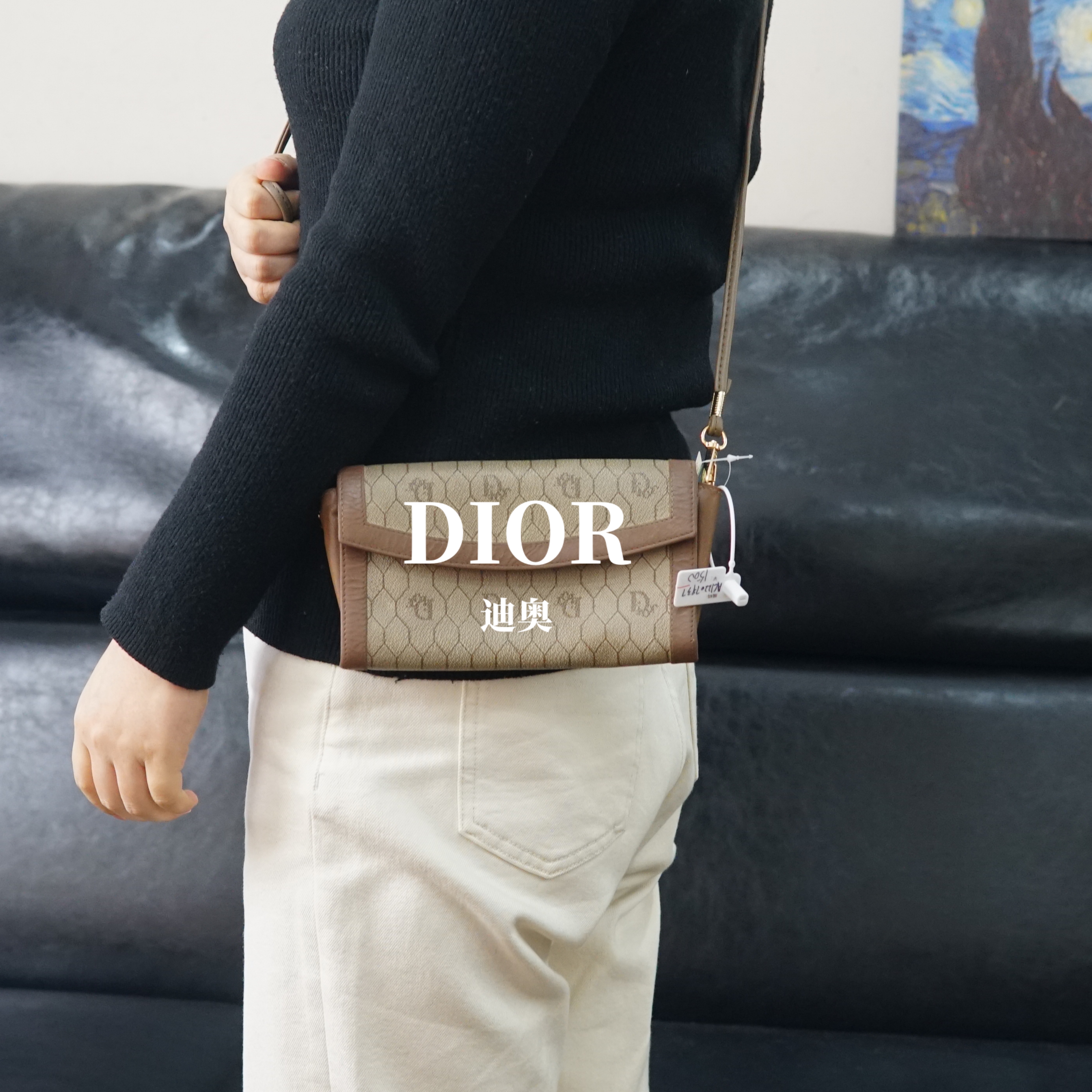 95新 DIOR/迪奥 老花斜挎包/FYAC12207937/7937