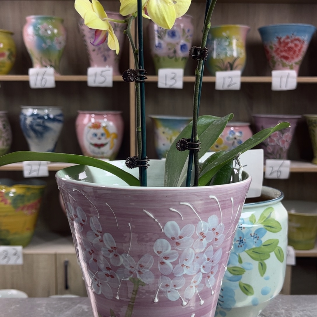 景德镇陶瓷花盆花盆