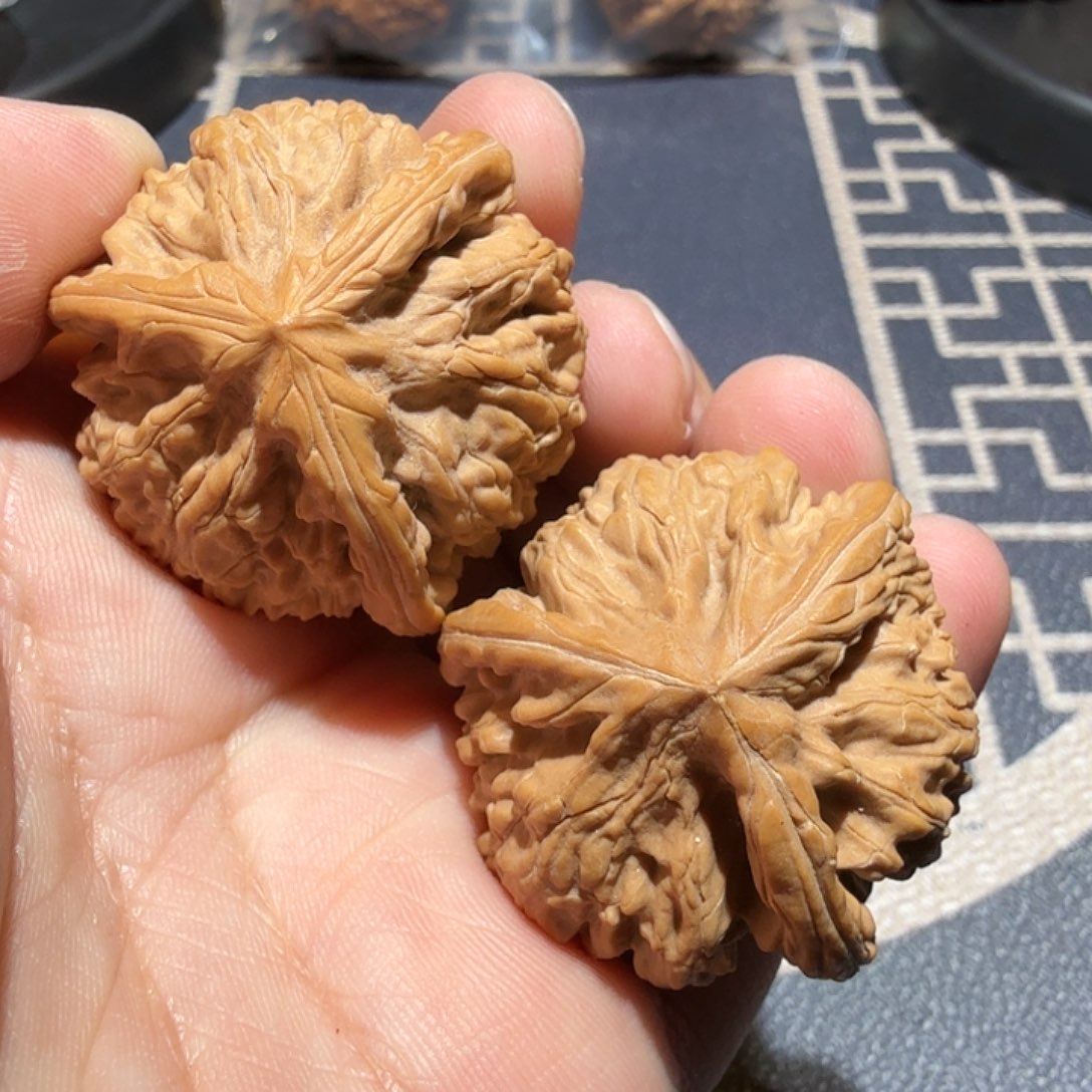 文玩核桃把件御龙正奔