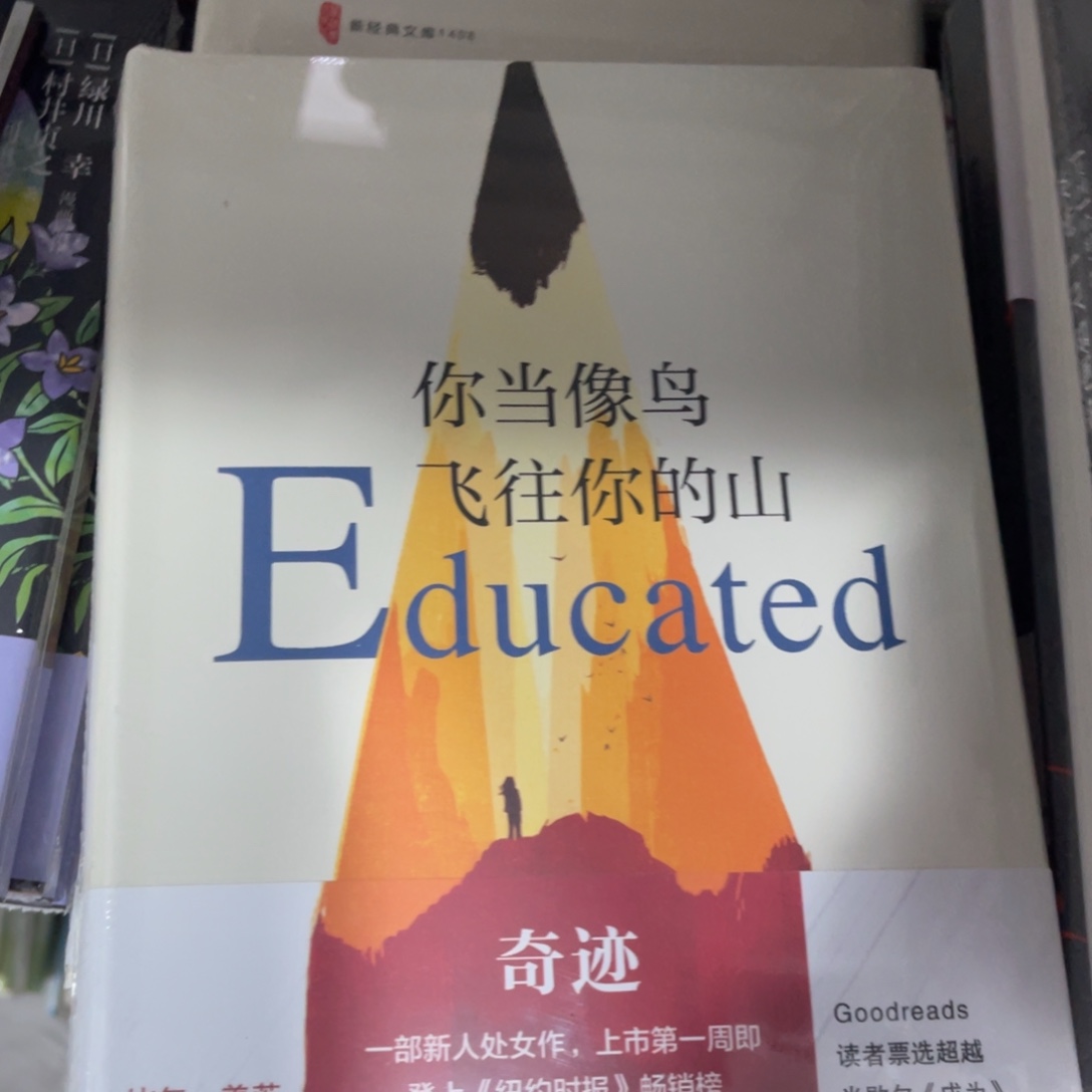 你当像鸟飞起你的山看