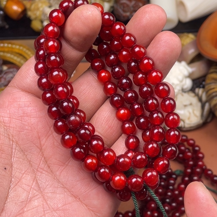 驼骨其他人工养殖