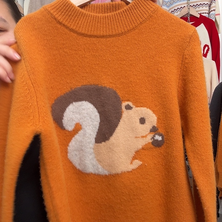 栗子棕松鼠加厚140