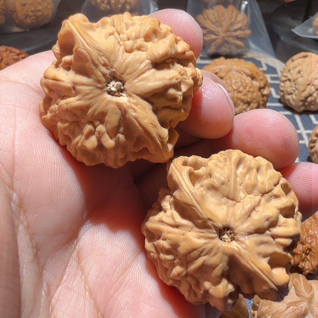 文玩核桃把件小金鱼