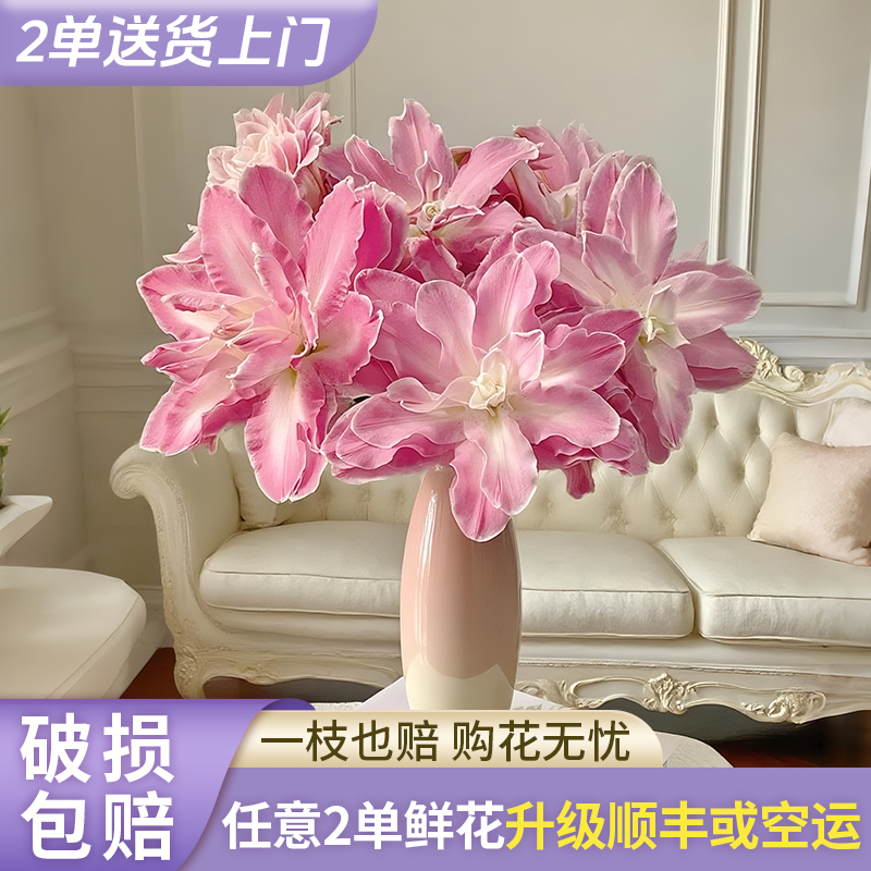 【源头优选】莲花仙子重瓣百合云南直发鲜花家居水养插花鲜切花