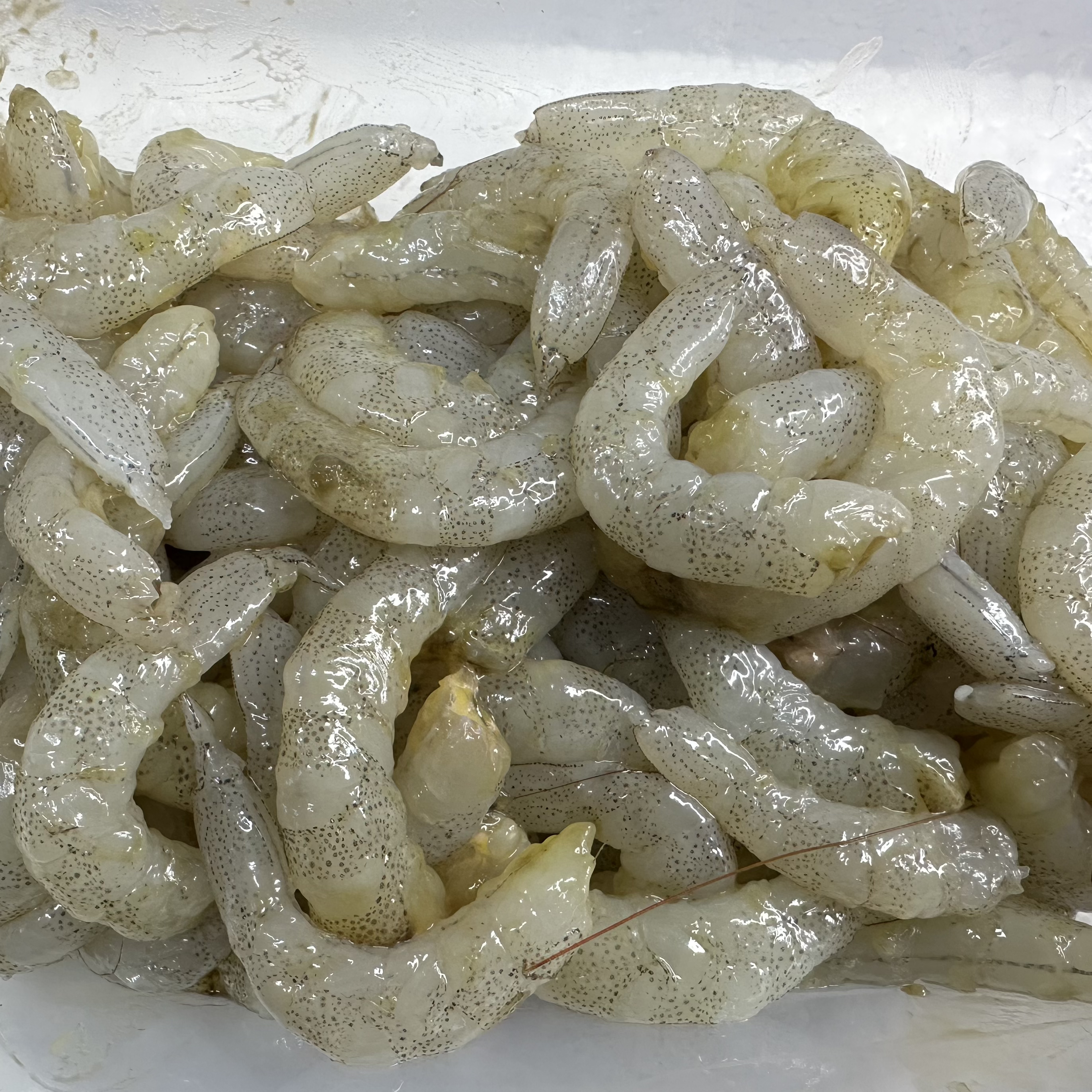 大连野生白银虾仁羊毛虾仁 3斤顺丰包邮