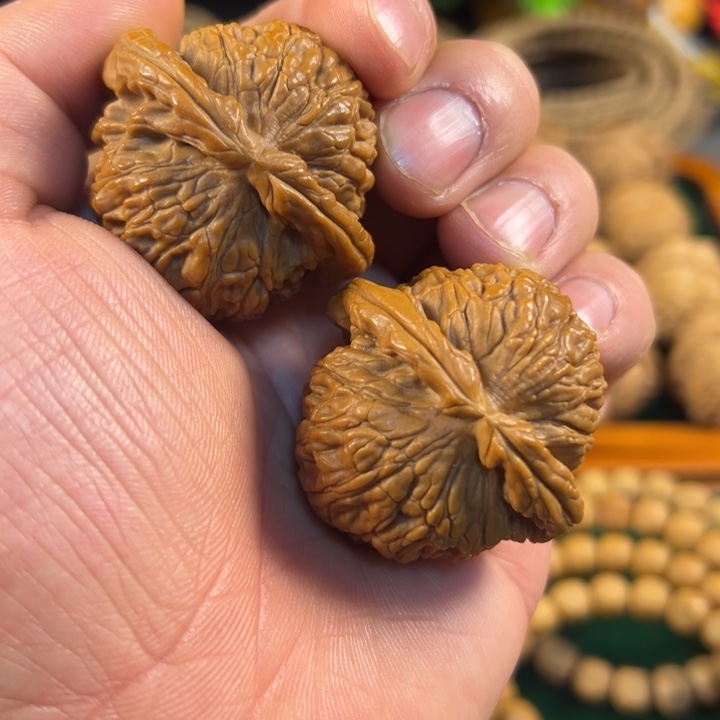 核桃打底白狮子尺寸42.5