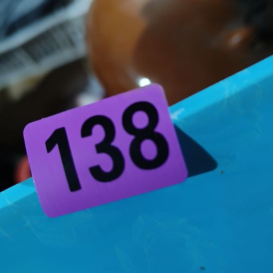 常***。其他陶民俗文化研究研究