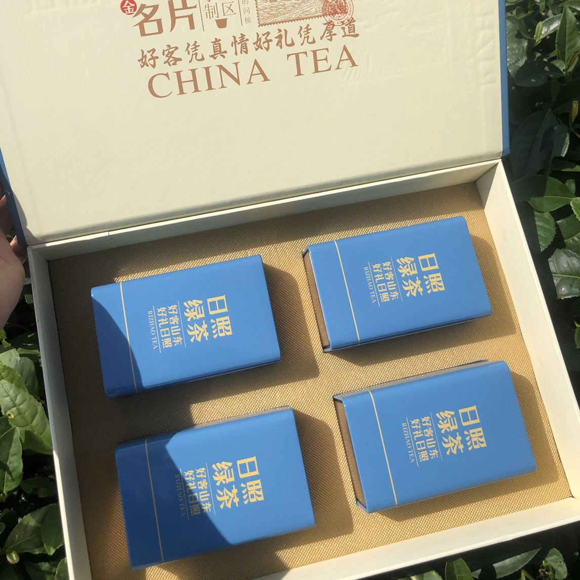 （两提礼盒装，包含一斤茶叶）春茶正宗日照绿
